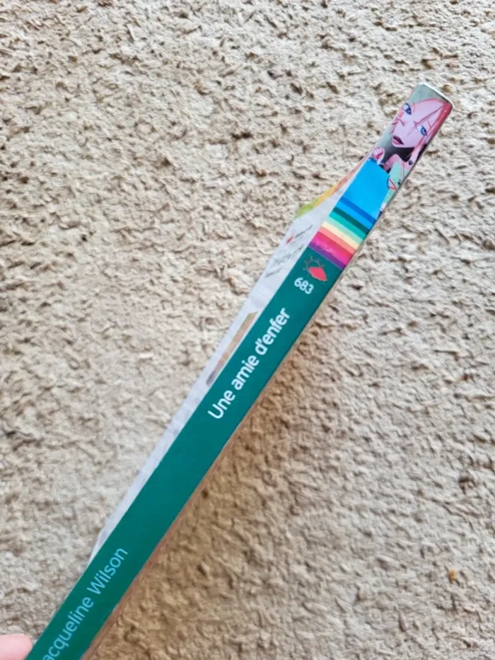 Roman jeunesse "Une amie d'enfer" de Jacqueline Wilson - photo numéro 4