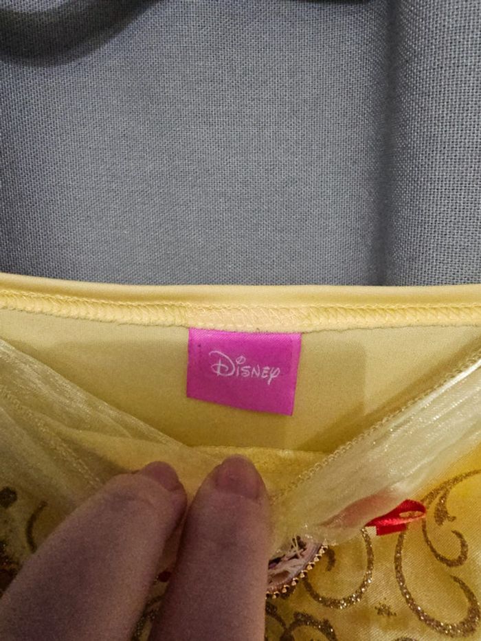 Deguisement belle disney - photo numéro 4