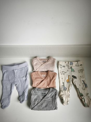 Lot bodies et  pantalons naissance