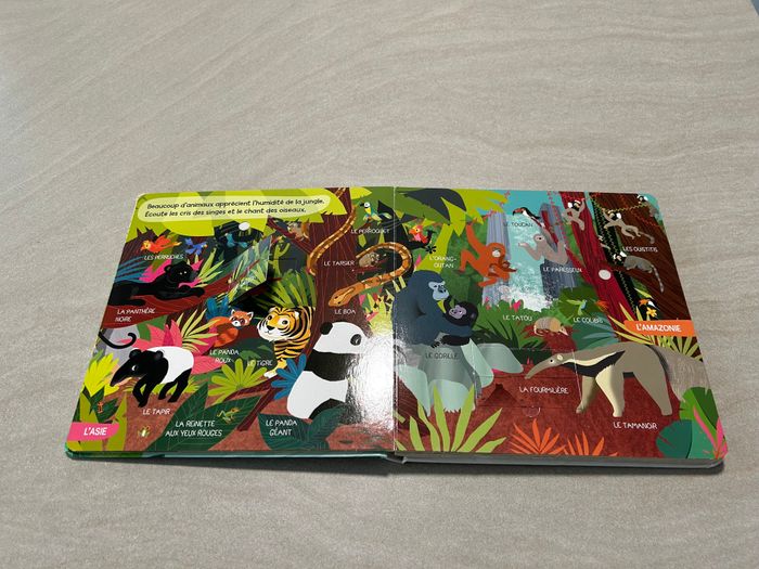 Livre sonore "Les Animaux du Monde" - photo numéro 5