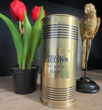Parfums Hommes jean-Paul Gaultier Le mâle Elixir