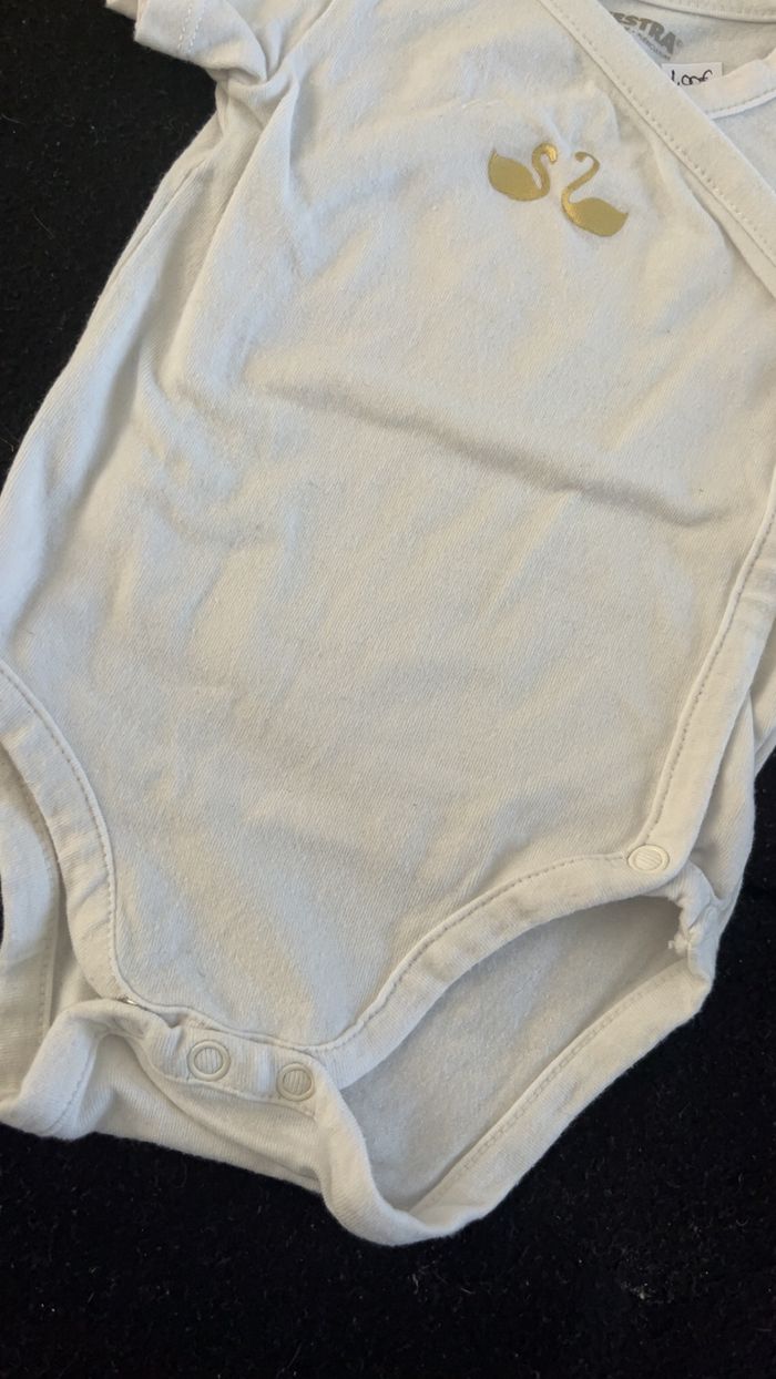 Bodie 3 mois - photo numéro 2