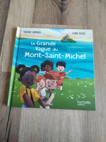 Livre : La grande vague du Mont-Saint-Michel