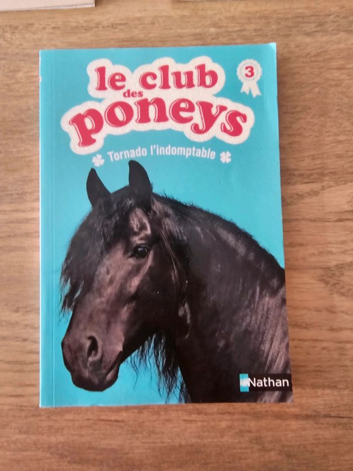 Livre chiots, chatons magiques / poney club enfant - photo numéro 8