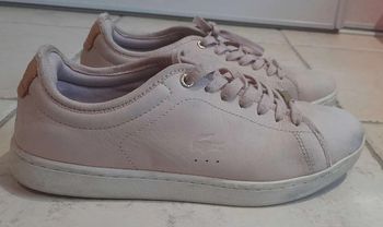 Basket rose lacoste