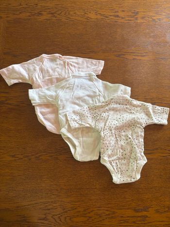 Lot 3 bodies