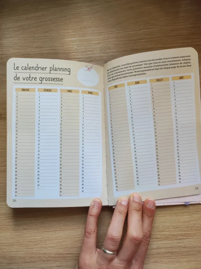 Livre "l'agenda de ma grossesse" - photo numéro 4