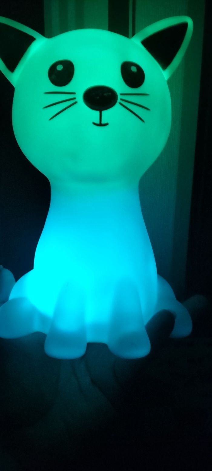 Chat veilleuse lumineux - photo numéro 5