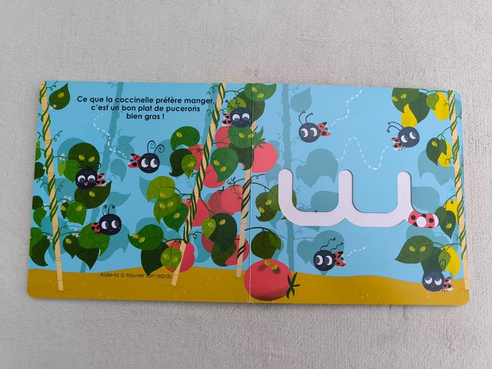 Livre La petite coccinelle - photo numéro 6