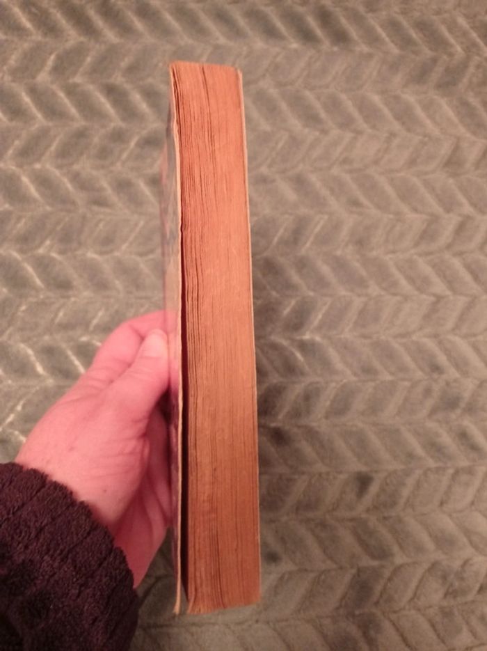 La mystérieuse affaire de styles, Agatha Christie - photo numéro 4