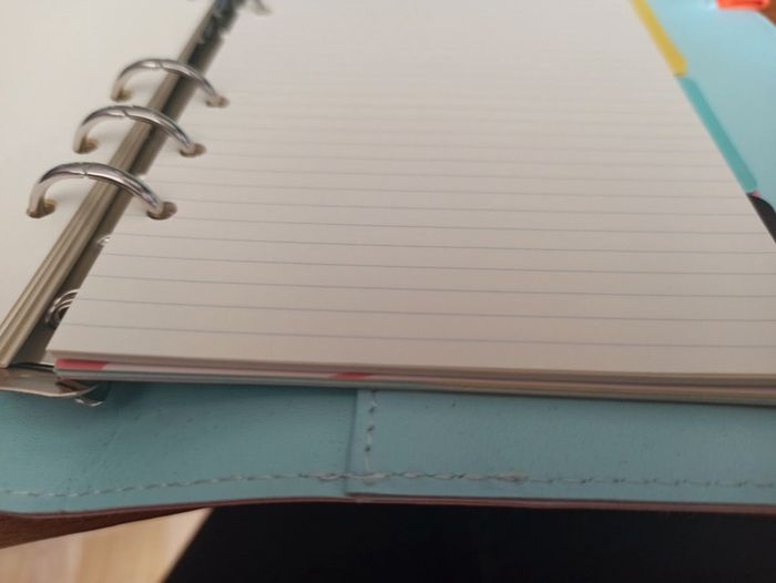 Journal - photo numéro 8