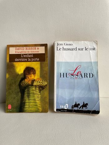 Lot de deux livres