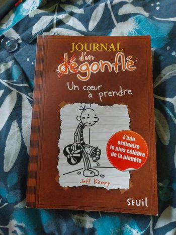 Journal d'un dégonflé.  Un cœur à prendre tome 7
