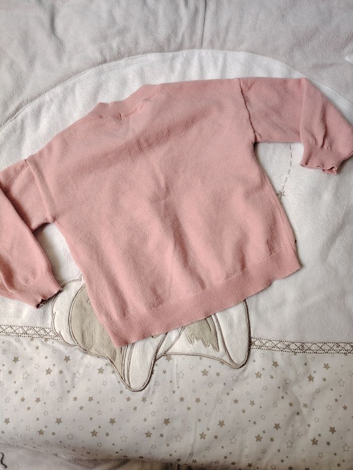 Pull panthère - photo numéro 5