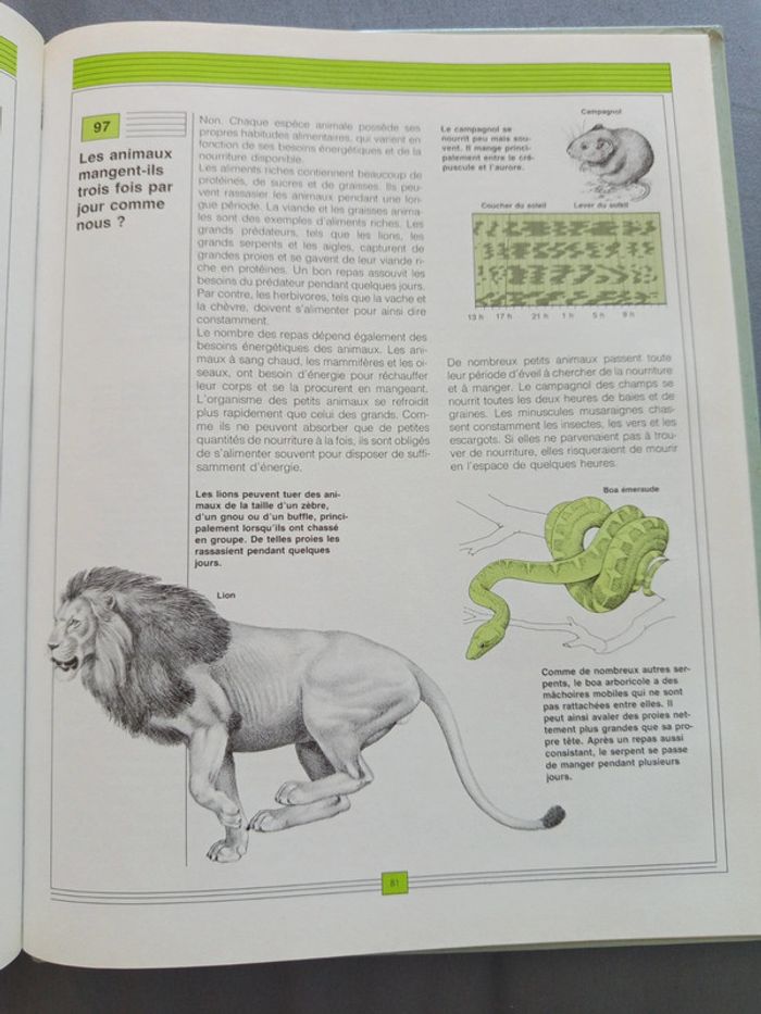 Livre sur la nature - photo numéro 5