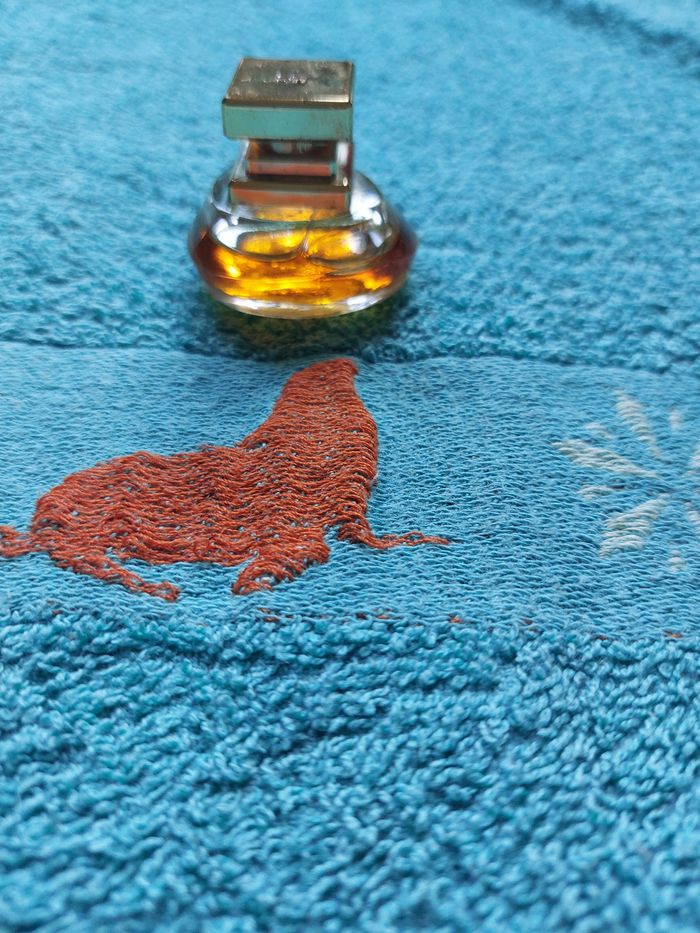 Le parfum sonia rykiel - photo numéro 5