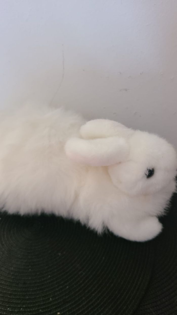 Collection Ty Classic - Grignote le lapin blanc - photo numéro 2