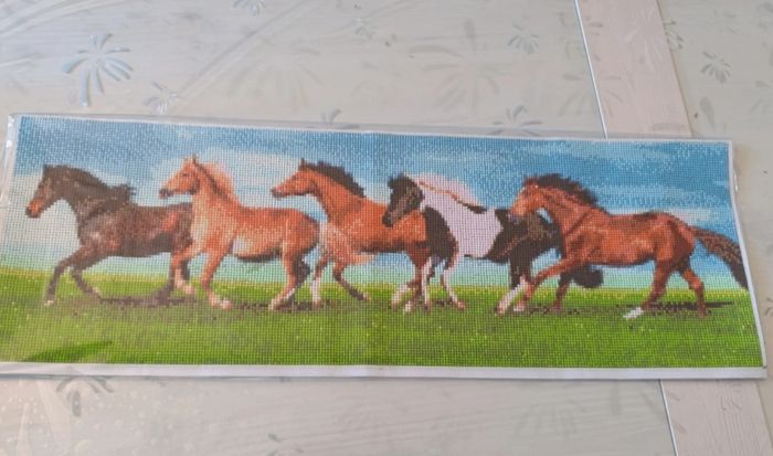 Grand Diamond painting 25.5 cm x 75,5 cm Chevaux déjà fait