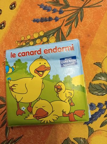Livre de bain le canard endormi