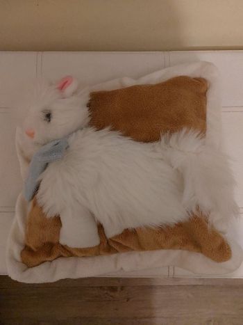 Coussin décoratif chat