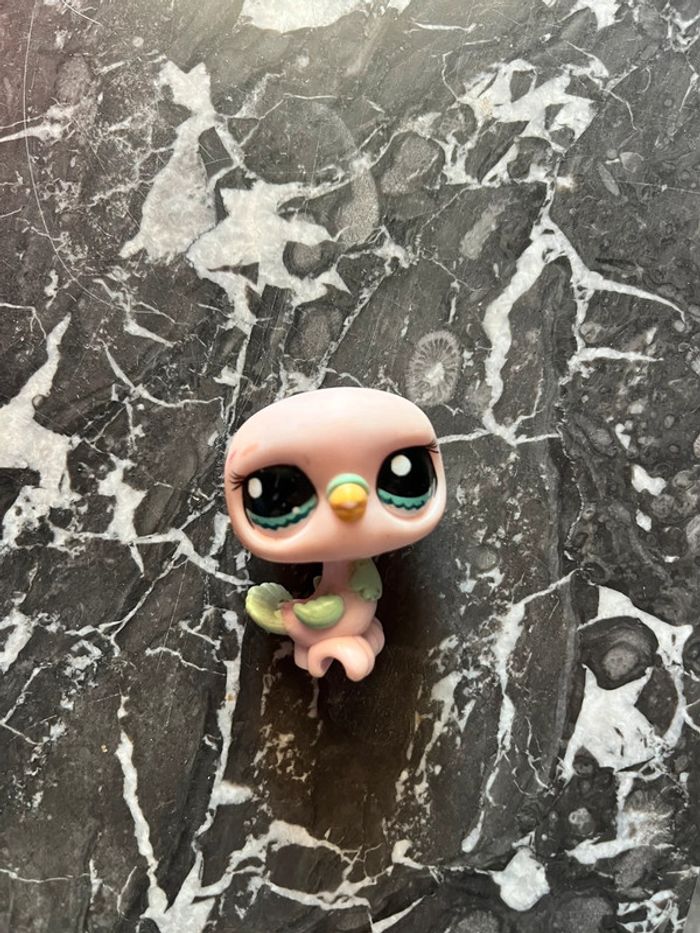 LPS bird