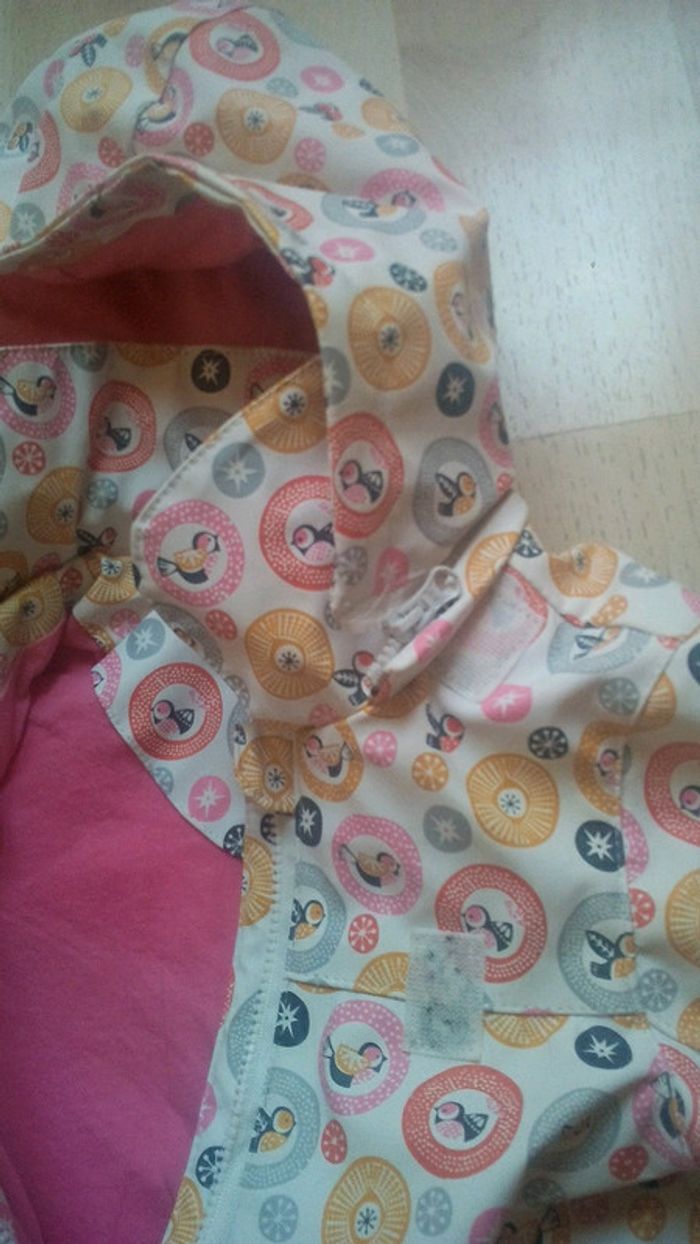 Coupe vent oiseaux - photo numéro 5