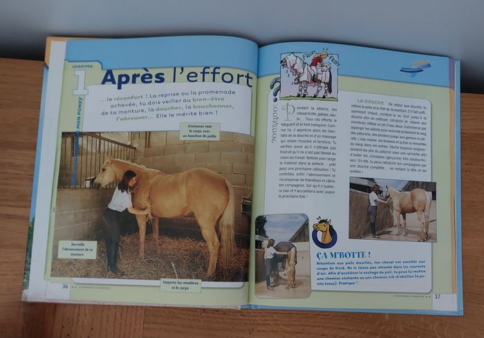 J'apprends à monter collection cheval star - photo numéro 4