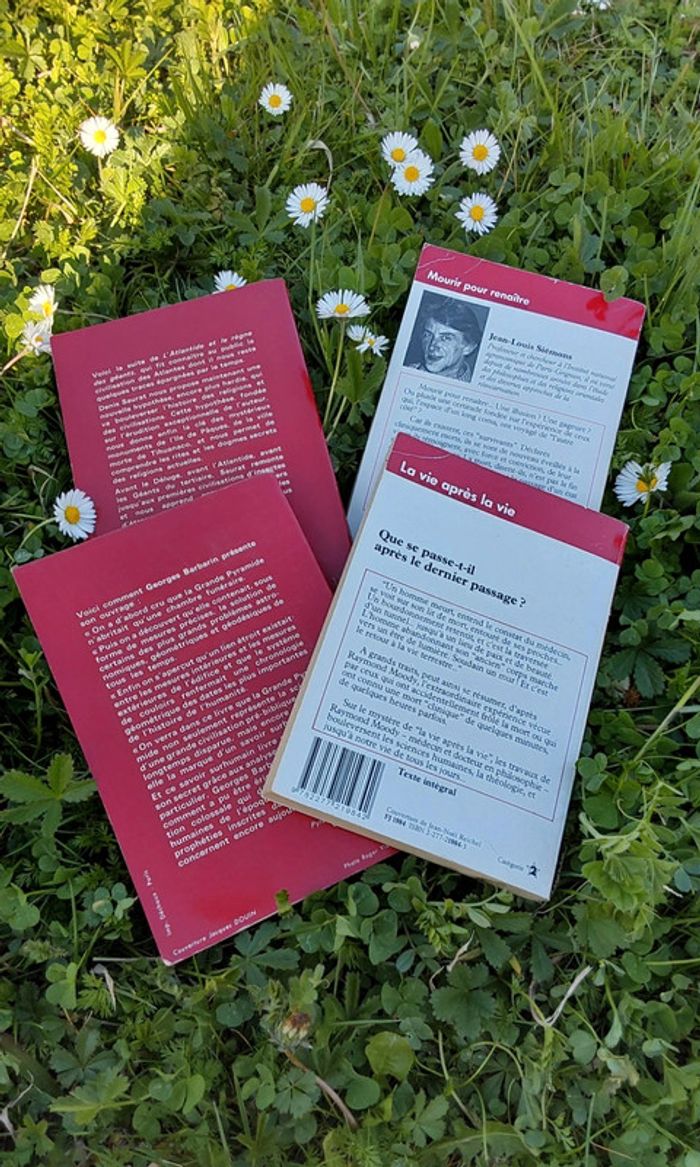 Lot de 4 livres Aventure Mystérieuse - photo numéro 4