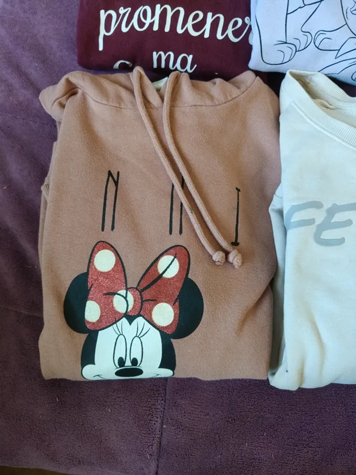 lot de deux sweats à capuche et trois sweats taille L(la halle, Disney, bon prix, Jennifer, h&m) - photo numéro 2
