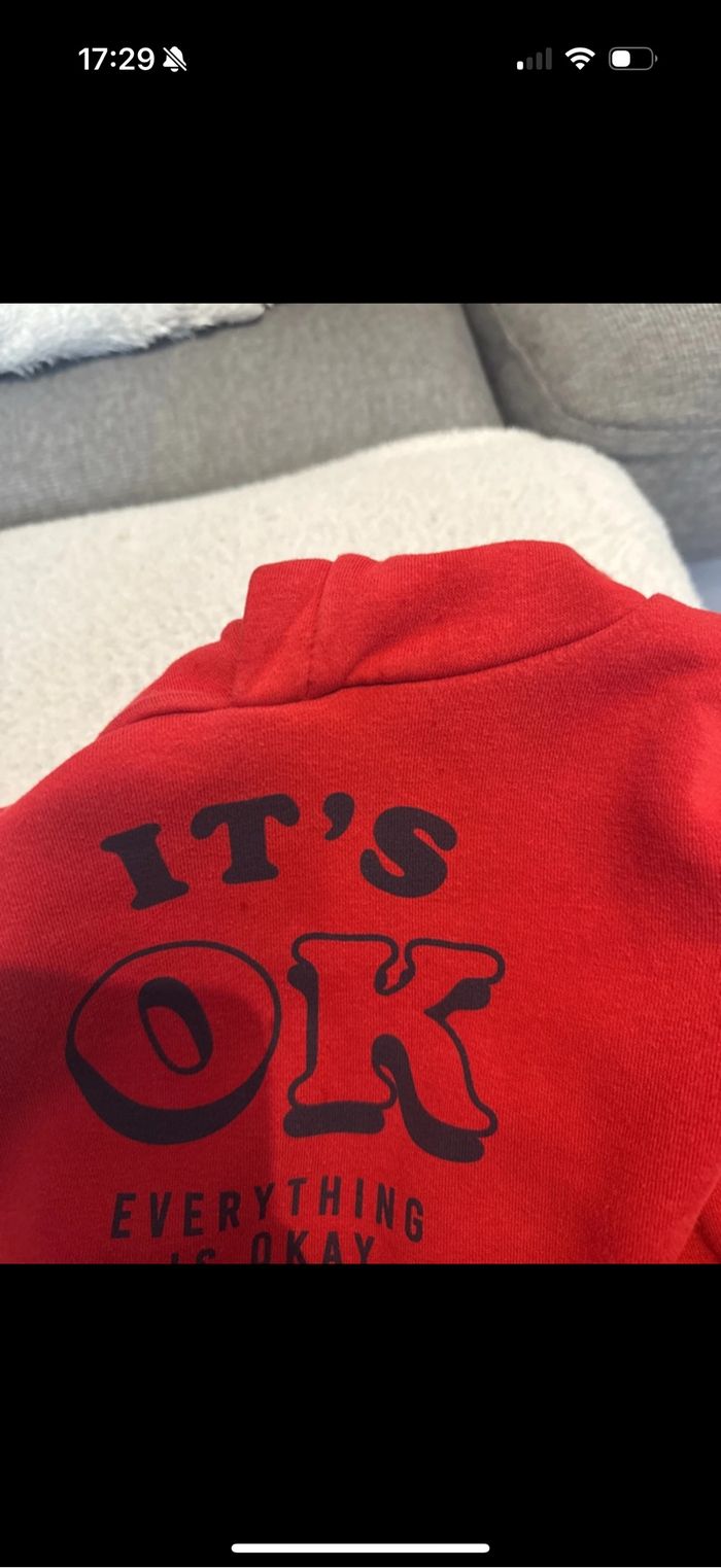 Sweat a capuche garçon kiabi 4 ans - photo numéro 4