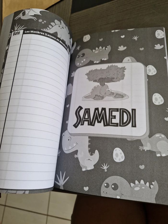 Cahier de texte enfant thème dinosaures - photo numéro 7
