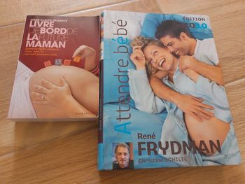 Lot de 2 livres - attendre bébé