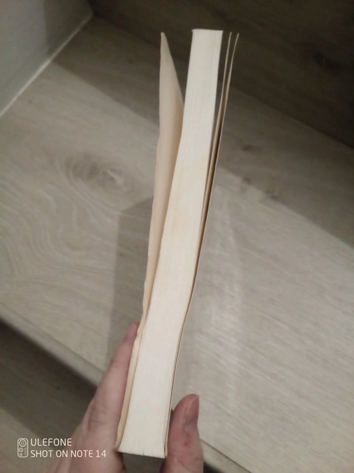 Devenez sorciers devenez savants - photo numéro 6