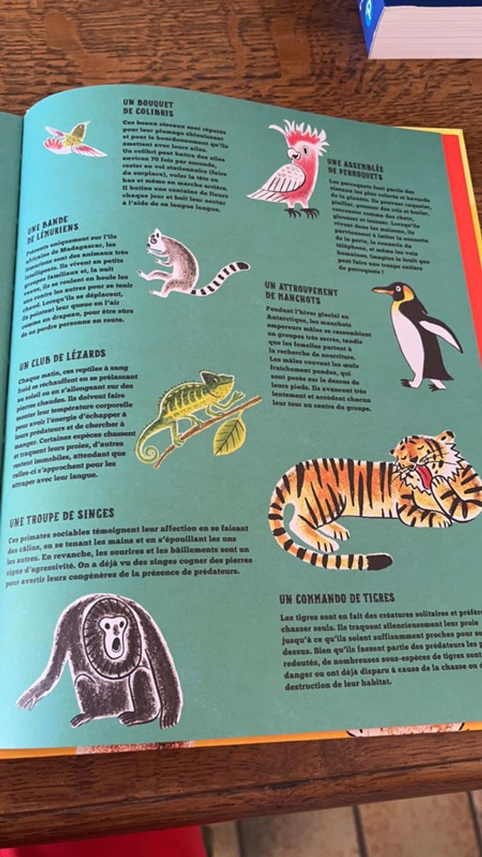 Livre mais où se cachent ils - photo numéro 6