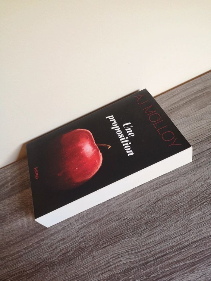 Livre broché romance Une proposition de A.J Molloy - photo numéro 5