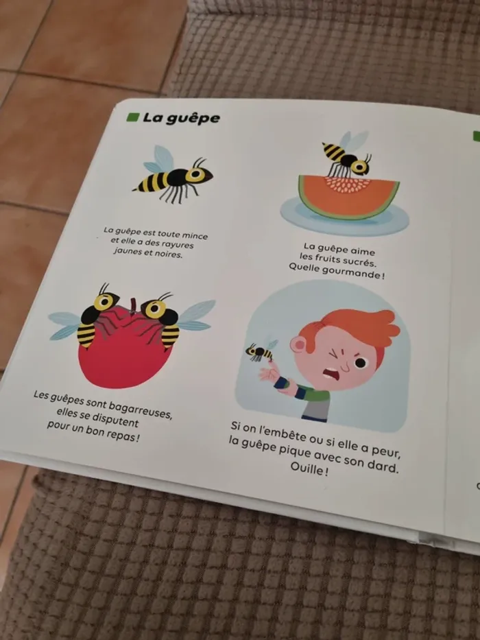 Livre "les petites bêtes " - photo numéro 5