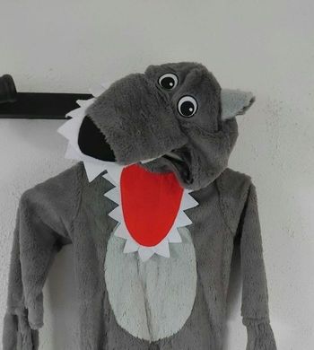 Déguisement Loup 3 4 5 ans Déguisement Garçon Carnaval 🐺