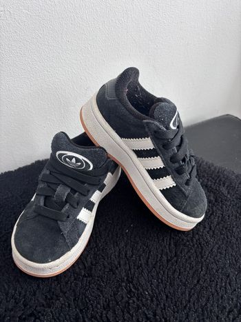 Campus Adidas 