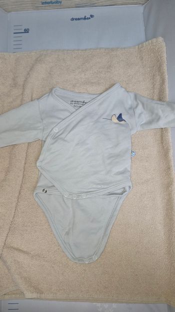 Body Dreambee 50/56 raie