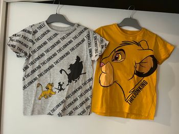 Lot 2 t-shirt simba