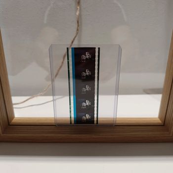 Pellicule démon slayer nezuko et tanjiro