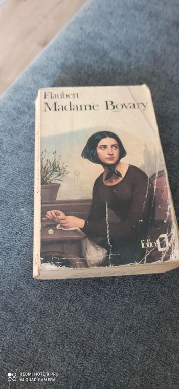 Livre Madame bovary  Flaubert