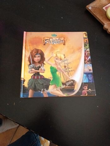 Livre Clochette fée pirate