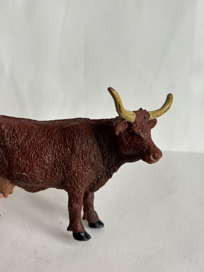 Vache papo - photo numéro 4