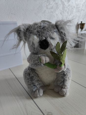 Peluche