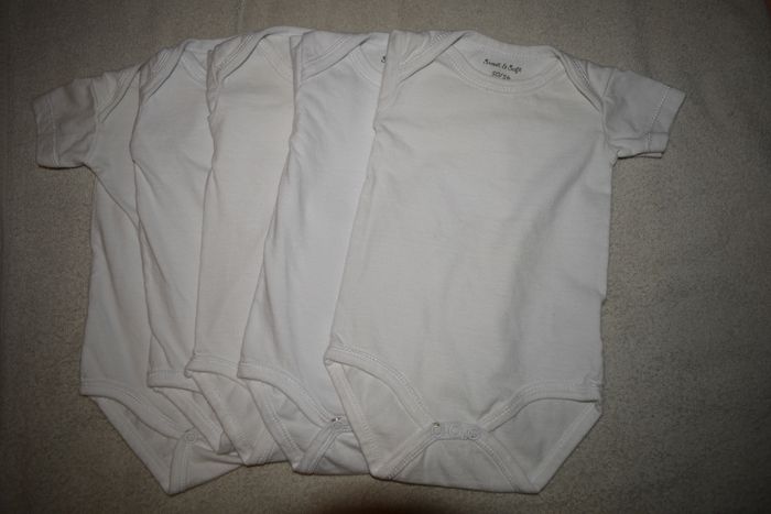 lot bodies