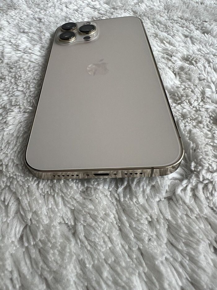 Une iphone treize pro max - photo numéro 5
