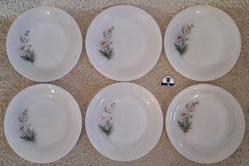 Lot de 6 assiettes à dessert Arcopal France décor Marguerites