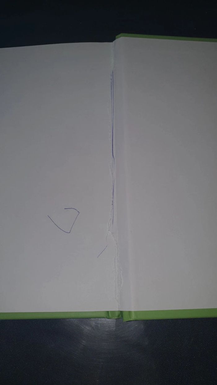 Tout savoir sur les chevaux - photo numéro 5