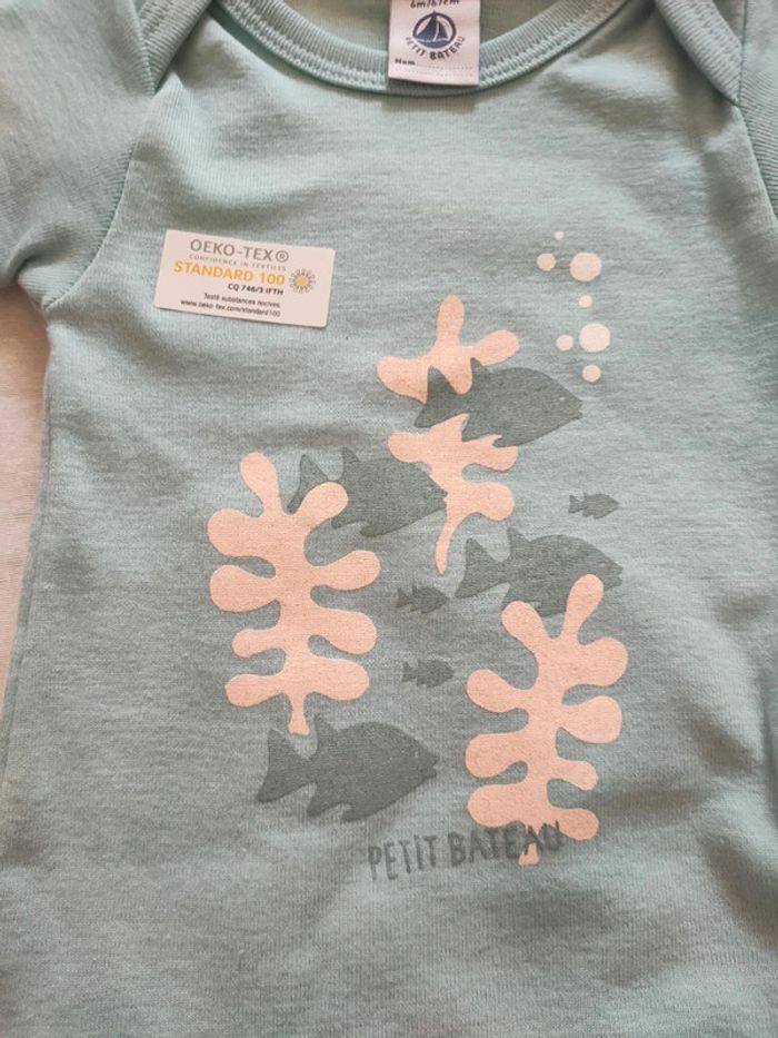 Lot de 3 body manches courtes petit bateau bio 6 mois - photo numéro 2